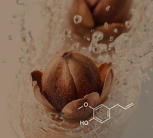 Eugénol USP Naturel Pur 99,5% Extrait de Clou de Girofle Huile Essentielle (CL-502) Van Aroma - Product Image 2