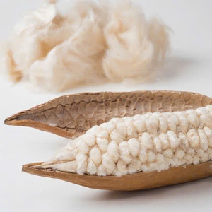 Kapok 100% Natural Puro para Hilado, Ecológico y Sostenible de Green Future Kapok - Product Image 1