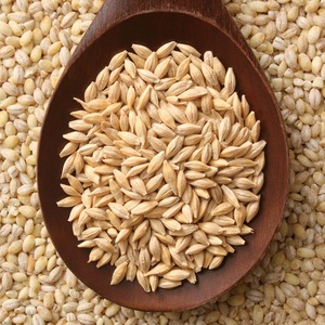 Approvisionnement en céréales pour l'exportation en vrac : 100 % orge pour l'alimentation animale, grains entiers, emballés proprement dans des sacs pour les acheteurs en gros du monde entier - Product Image 4