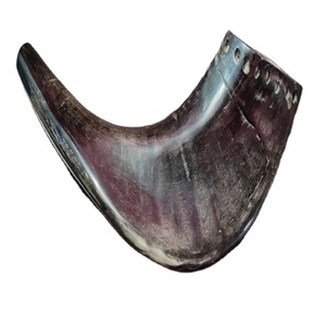 Corne naturelle Rare très grande, à prix adapté, 1 pièce - Product Image 5