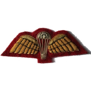 Gold Bullion Embroidered Parachute Wings <b>Patch</b> <b>Sew</b>-<b>On</b> Nonwoven Felt Irregular Shape Cloth Decoration - Product Image 5