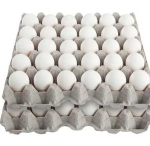Huevos Frescos Congelados de Gallina Blanca y Morena 100% Orgánicos, Tamaño Jumbo, Paquete a Granel, Huevos de Mesa de la Mejor Calidad, Venta Directa de Fábrica al Por Mayor - Product Image 3