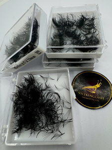 Extensions de cils pré-faites volume pour artistes, best-seller, haute qualité, cils individuels, courbure CC, longueurs mixtes - Product Image 6