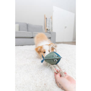 Jouet interactif et mobile pour animaux de compagnie, en cuir, avec ficelle, 28 cm - Product Image 6