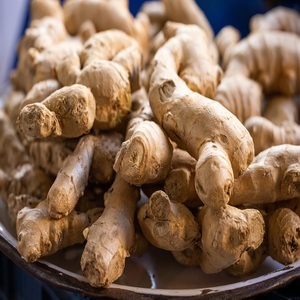 Gingembre frais / gingembre séché / gingembre biologique de qualité supérieure en gros provenant du Royaume-Uni - Product Image 2