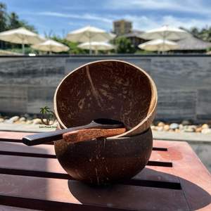 Juego de Tazón Ecológico de Cáscara de Coco de 14-16 cm y Cuchara de Madera de Coco de 19 cm / Vegano, Sostenible, Precio de Mayoreo Directo de Fábrica - Product Image 1