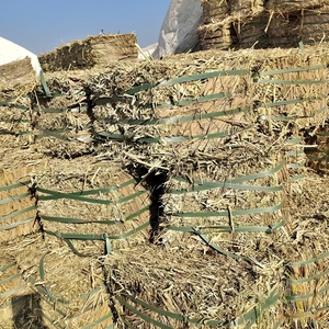 Paille d'arachide de qualité supérieure pour l'alimentation animale avec balles de foin pour les fermes d'élevage et les acheteurs agricoles en gros - Product Image 6