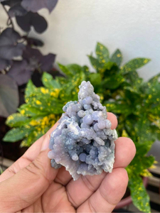 Natural Grape Agate <b>Cluster</b> | Purple Blue Botryoidal Chalcedony Mineral Specimen | Collector Display <b>Crystal</b> - Product Image 1