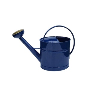 Stylish Iron Metal Watering <b>Cane</b> Blue Finished Flower Planter Holder Usage for Home Outdoor <b>Garden</b> Supplies Water Cans - Product Image 5