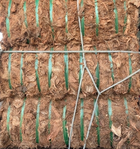 BLUE LOTUS VIETNAM Fabrication en gros de coque extérieure en noix de coco biodégradable naturelle au meilleur prix - Product Image 1