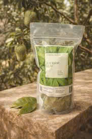 Té Negro Orgánico Fermentado de Hojas Secas de Guanábana, Té Saludable de Vietnam, Sin Azúcar, Grado 100% Puro, Caja de 25 Bolsitas de Té, Peso Neto 50gr - Product Image 3
