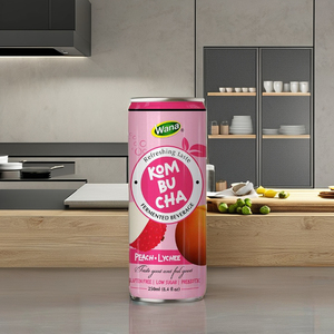WANA Premium Bebida Gaseosa Esterilizada de Mango, Melocotón y Lichi con Kombucha, 250ml, Lata de Aluminio, Estilo Frutas y Verduras Deshidratadas - Product Image 1