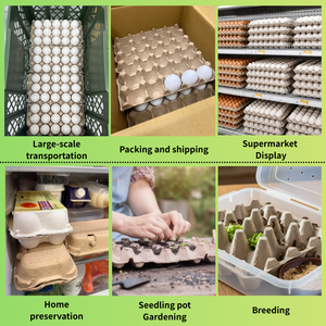 Empaque de cartón para huevos ecológico de 12 piezas, bandeja para huevos de gran venta, fabricada con papel reciclado. - Product Image 5