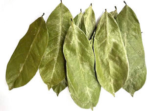 Meilleur prix d'usine corossol vietnamien thé du matin thé aux herbes fait à la main 100% feuilles biologiques naturelles thé amincissant emballé sous vide - Product Image 6