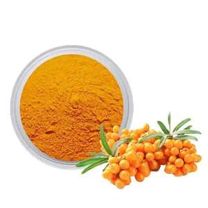 Poudre d'argousier authentique de qualité alimentaire, contenant des vitamines, des minéraux et des composés végétaux bénéfiques - Product Image 3