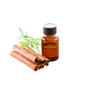 Hot Sale Export Quality Vietnam Manufacturer Supply Cassia Bark <b>Essential</b> <b>Oil</b> Packed in 100ml Bottle - Product Image 3