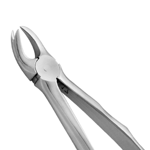 ARISTON INTERNATIONAL Pinzas de Extracción Dental Manuales de Acero Inoxidable de Alta Calidad, Pinzas de Extracción Pedo Cowhorn, CE - Product Image 2