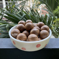 Non-Gmo Vietnamese Macadamia Hoge Kwaliteit Notenkraker Beste Prijs Bulkvoorraad Verse Stijl Cashewnoten Gedroogd Fruit