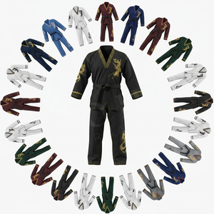 Uniforme de Artes Marciales Personalizado al por Mayor a Precio Económico, Bordado a Mano, Personalizado para Karate, Taekwondo, Uniforme de Entrenamiento - Product Image 1