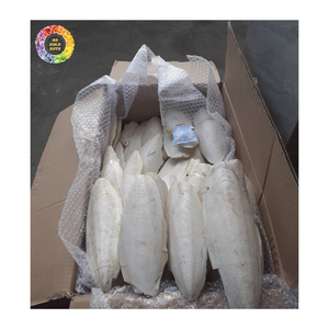 Polvo de Hueso de Sepia de Grado Marino para Alimento de Peces, Alimento para Camarones, Alimento para Mascotas, Nutrición Animal, Proveedor Mayorista - Product Image 3