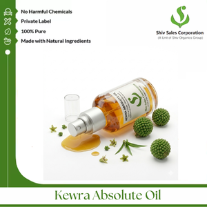Aceite Absoluto de Kewra para Creación de Aromas, Productos Aromáticos, Formulaciones de Perfumes y Mezclas de Fragancias Industriales - Product Image 3