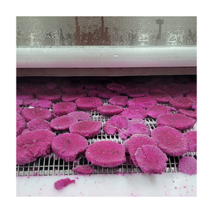 Sweet Tropical Frozen Dragon Fruit IQF Red White Dragon Fruit <b>Diced</b> Cube Cut Export Quality Fruit For Smoothie Dessert - Product Image 1