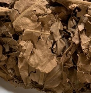 Hojas de panacá secas de alta calidad, origen Vietnam, OEM B2B, 100% naturales y puras, sin aditivos, exportación global - Product Image 2