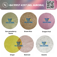 Papier de riz vietnamien en vente chaude, Bánh Tráng, pour rouleaux de printemps, formes ronde/carrée, 16cm, 18cm, 20cm et échantillon gratuit