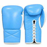 Ensemble de protection pour boxe et sparring, modèle dernier cri, couleur bleu ciel, comprenant gants, protège-tête, protège-génitales, kit d'entraînement et équipement de protection MMA.