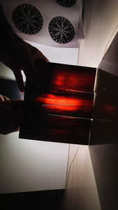 แผ่นแตรควายหรือแผ่นเขาวัวหรือเกล็ดเขาวัว - Product Image 5