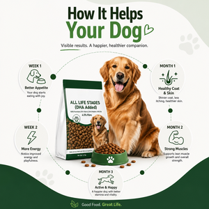 Alimento Seco para Mascotas al por Mayor OEM ODM para Perros y Gatos de Todas las Razas, Nutrición Natural Equilibrada, Marca Privada, Empaque Personalizado, Fabricante - Product Image 4