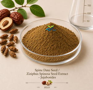 HGO Fourniture directe d'usine de graines naturelles de dattes d'épine/d'extrait de graines de Ziziphus Spinosa Jujubosides 0.1 / 0.2 (extrait standardisé) - Product Image 1