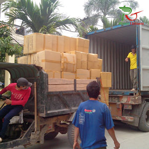 Livraison rapide maison décor intérieur diffuseur bâtons de roseau rotin naturel roseau diffuseur bâtons 3.0mm artisanat OEM fabriqué au Vietnam - Product Image 5