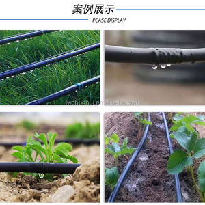 <span class=keywords><strong>Tubo</strong></span> per <span class=keywords><strong>irrigazione</strong></span> a goccia 16mm 500m/rotolo, spaziatura 50cm, per ortaggi e giardini (tubi e avvolgitori) - Product Image 6