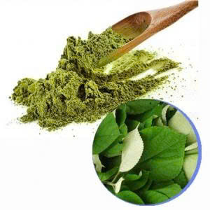 POLVO DE HOJAS DE RAMIO SECAS PURAS PARA BEBIDAS SALUDABLES Y USO HERBAL - Product Image 4