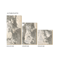 Offre Spéciale – Carrelage Extérieur en Porcelaine Vitrifiée Émaillée de 20 mm d'Épaisseur, Bicolore, 600x600 mm, pour Allée Moderne