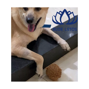ของเล่นเคี้ยวสำหรับสุนัขและแมว บลูโลตัส ทำจากใยมะพร้าว ย่อยสลายได้ ช่วยดูแลสุขภาพช่องปาก บรรเทาความเครียด ปลอดสารพิษ ทนทาน ขายดี - Product Image 1