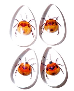 Cabujón de Plástico con Espécimen Real de Insecto Floral, Corte Pera, 46x30 mm, Base Plana Transparente para Manualidades y Joyería - Product Image 1