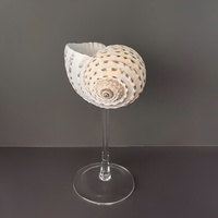 Fournisseur d'usine – Nouvelle collection : Verres à vin écologiques en coquillages, faits à la main, pour mariages et décoration intérieure – Vente en gros