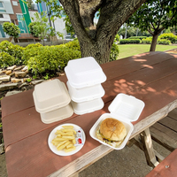 Contenants alimentaires jetables en bagasse empilables classiques et peu encombrants pour cuisines, événements et plats à emporter
