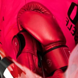 นวมชกมวย Fairtex รุ่น Professional Sparring ดีไซน์ใหม่ หนังแท้ หนัง PU ระบายความชื้น แบรนด์สั่งทำได้ มวยไทย - Product Image 5