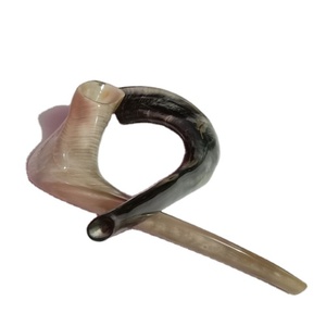 Cuerno de carnero pulido Shofar Tamaño mixto Estilo animal Artesanías naturales hechas a mano - Product Image 4