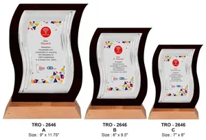 Trofeo de Madera y Acrílico para Premios de Diseño, Reconocimiento Corporativo, Logros, Apreciación y Eventos Empresariales Profesionales - Product Image 3