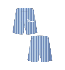 Shorts de bain rayés pour hommes Ferocious Clothing, taille élastique, grande taille, décontractés, avec logo imprimé sur la jambe droite - Product Image 1