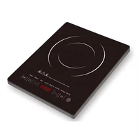 Plaques à induction en gros 2200W, cuisinière électrique multifonctionnelle avec base antidérapante, nouveau design, plaque à induction infrarouge