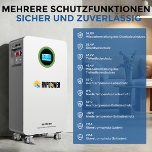 Batterie LiFePO4 51,2V 314Ah 16,07kWh, cellules de qualité A, 8000 cycles, garantie 5 ans, entrepôt UE, expédition rapide - Product Image 4