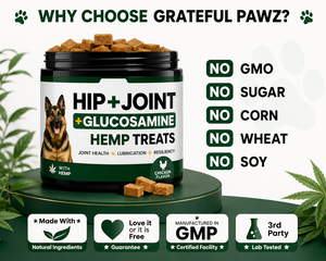 Complément alimentaire multivitaminé à base d'huile de chanvre pour chiens et chats, à croquer, pour toutes les races, supplément vitaminique quotidien, santé immunitaire, peau, pelage, articulations, absorption rapide - Product Image 3