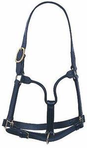 English & Western Saddle Horse Leather <b>Halter</b> with Brass Buckle Nylon & PP Accessory Fitting for Horse Rugs - Product Image 2
