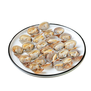 Almejas Congeladas de Primera Calidad, Listas para Enviar, Grado Alimenticio, Suministro al por Mayor, Fabricante de Exportación de Alta Calidad - Product Image 1
