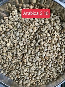 Café Vert Bio Arabica du Vietnam, Grains Naturels Purs, Calibre 16, Qualité Stable, Grade A, Vente en Gros, Exportation - Product Image 4